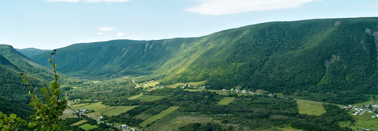 Main image of Client